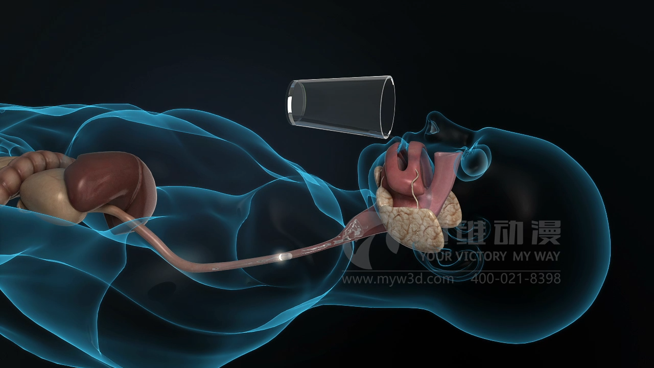 医疗三维动画制作.png