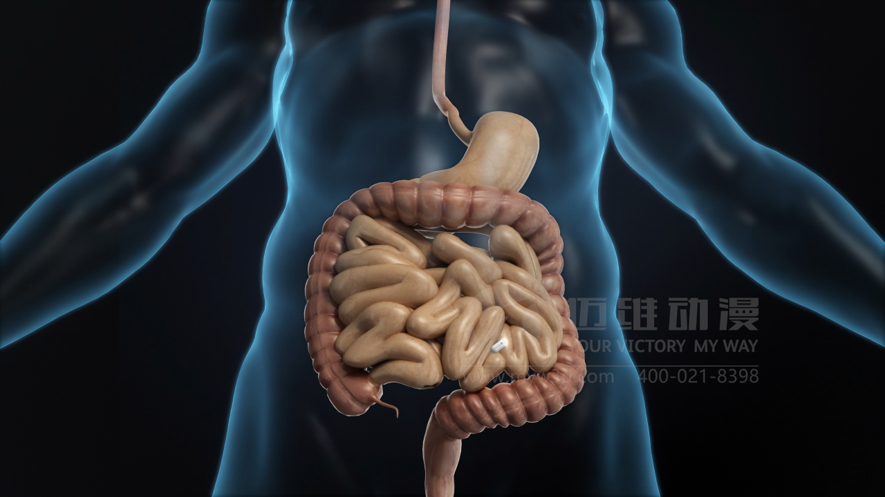 医疗三维动画制作.png