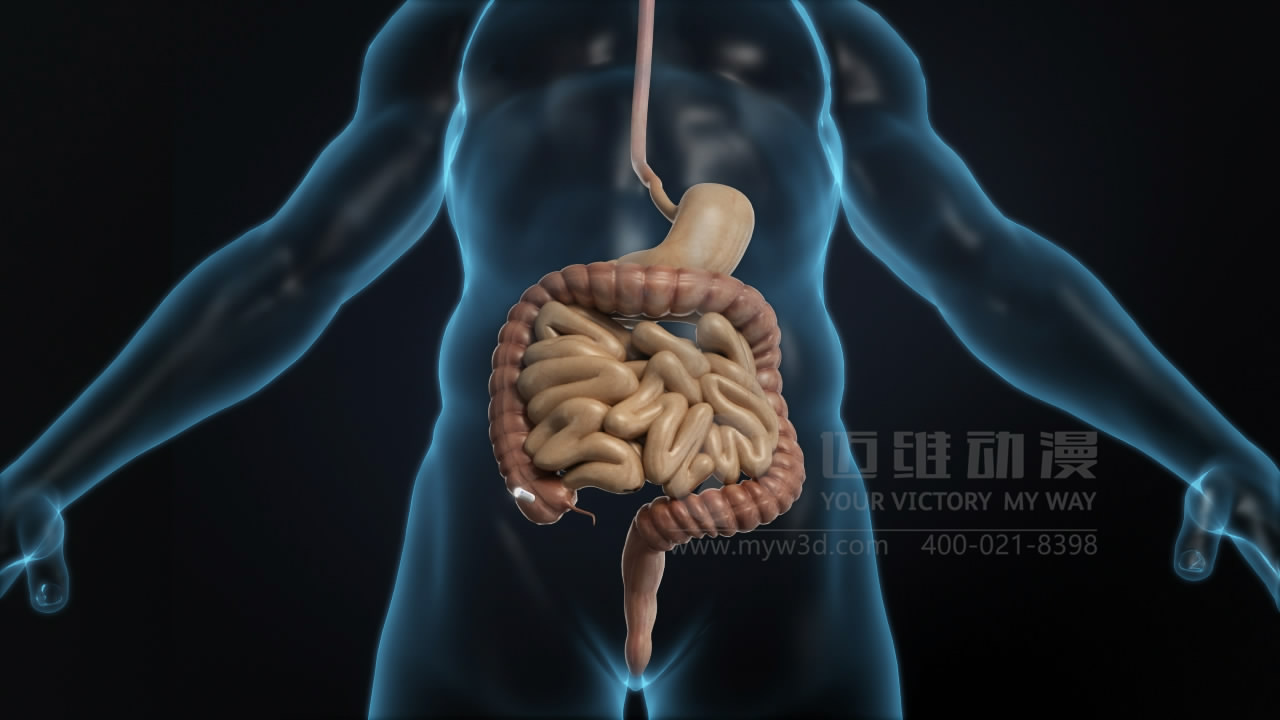 三维动画制作公司.JPG