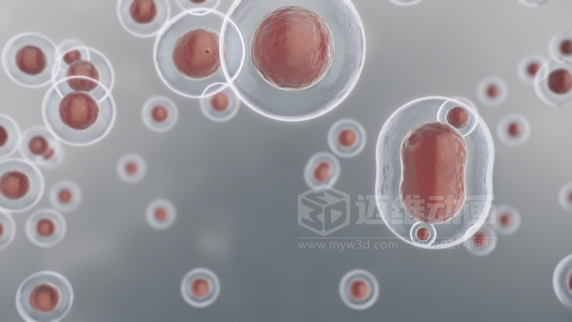 技术太复杂,讲不明白?用 3D 动画为您的生物科技产品打造 “视觉说明书”(图3) 技术太复杂,讲不明白?用 3D 动画为您的生物科技产品打造 “视觉说明书”(图3)