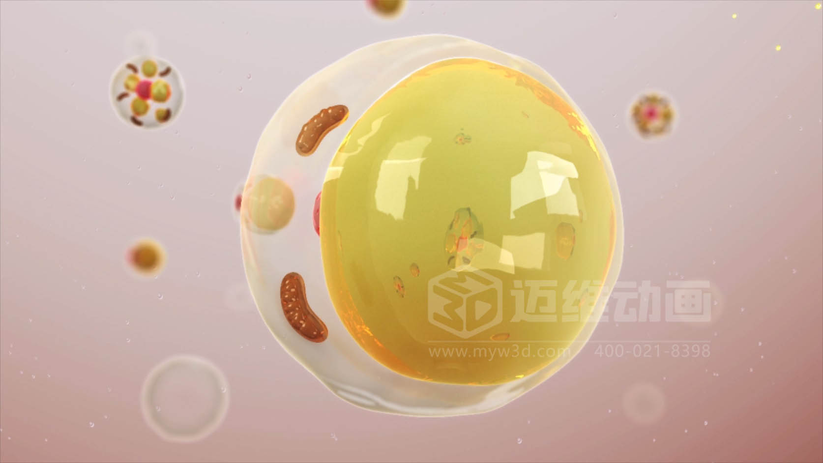 脂肪细胞医学展示三维动画行业解决方案(图1) 脂肪细胞医学展示三维动画行业解决方案(图1)
